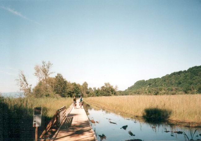 balancujeme nad bainou