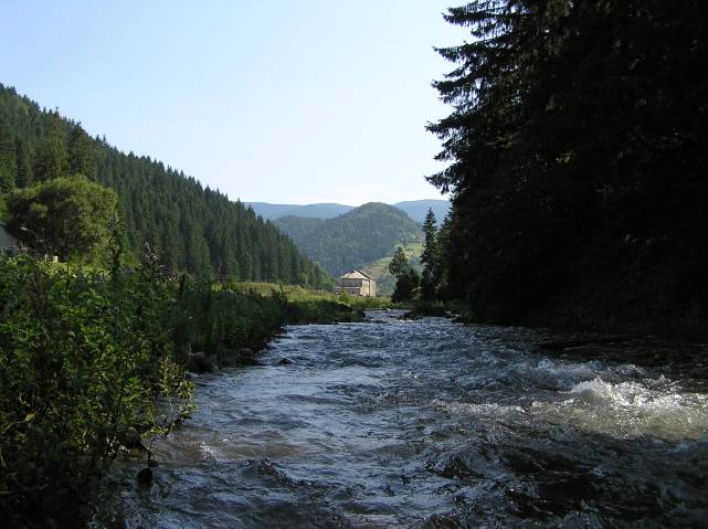 Karpaty